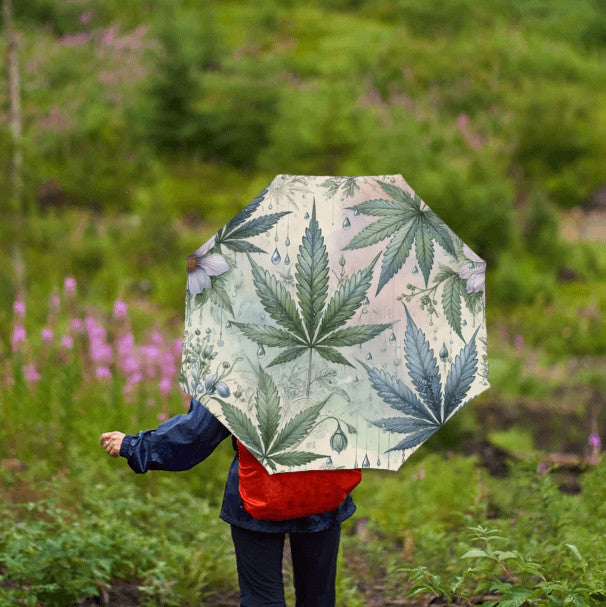 Rainy Day Cannabis Leaf